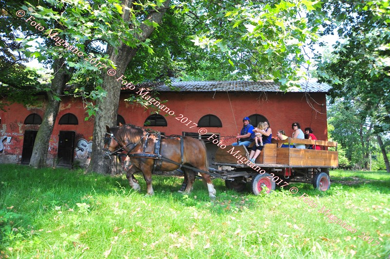 DSC_0966.JPG